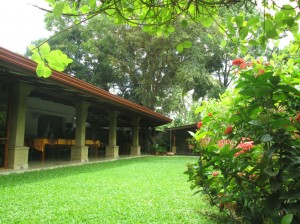 10Hotel in Anuradapura  (14)